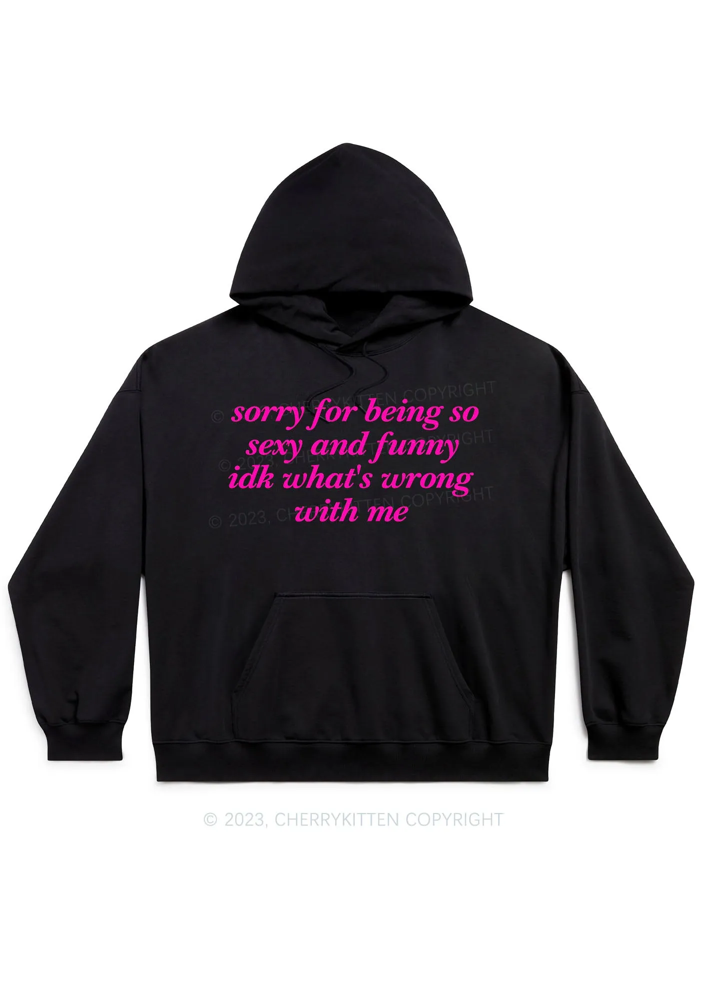 Sorry For Being So Funny Y2K Hoodie Cherrykitten