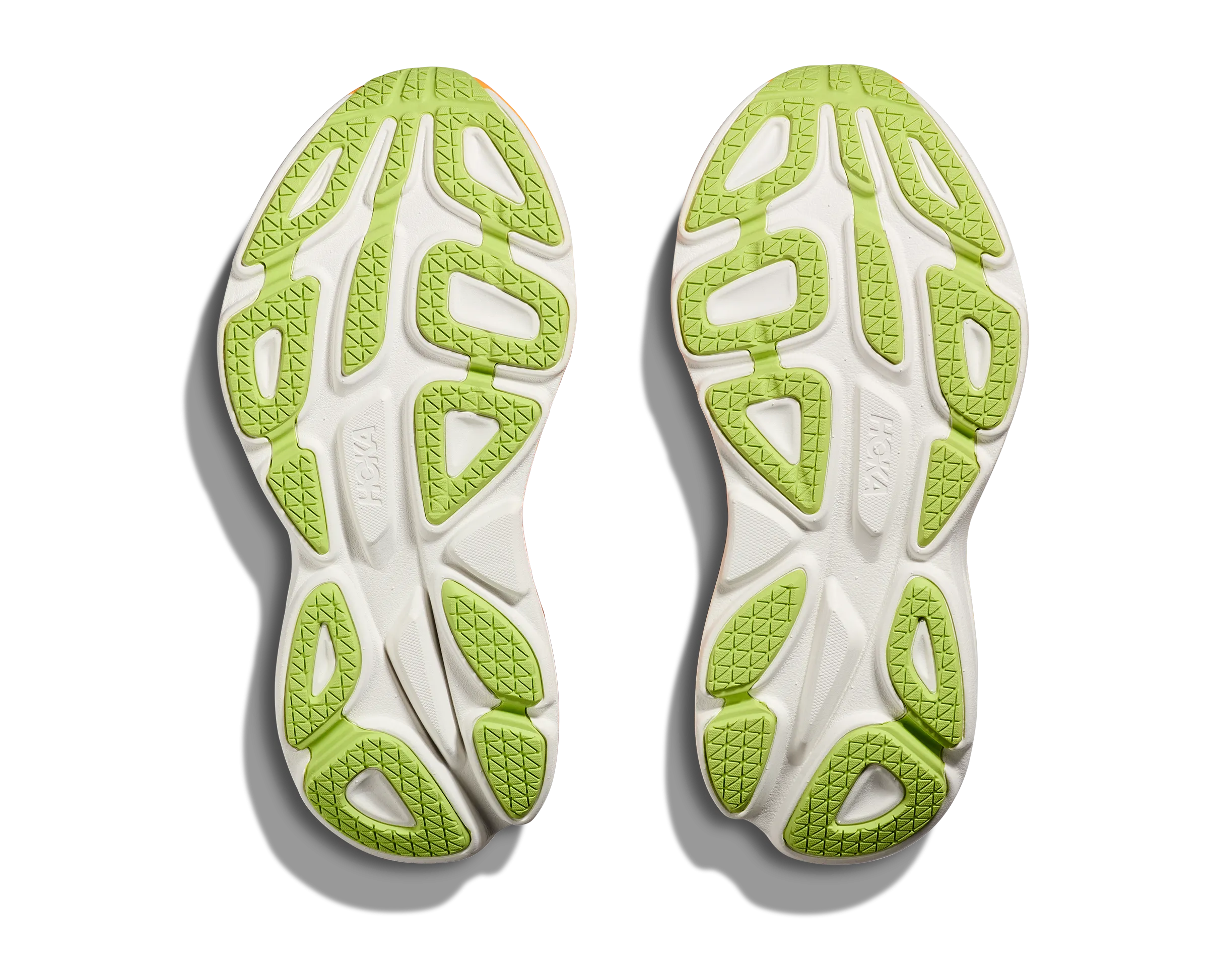 W Bondi 8 Solar Flare/Lettuce